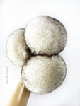 Cotton Faux Fur Pom